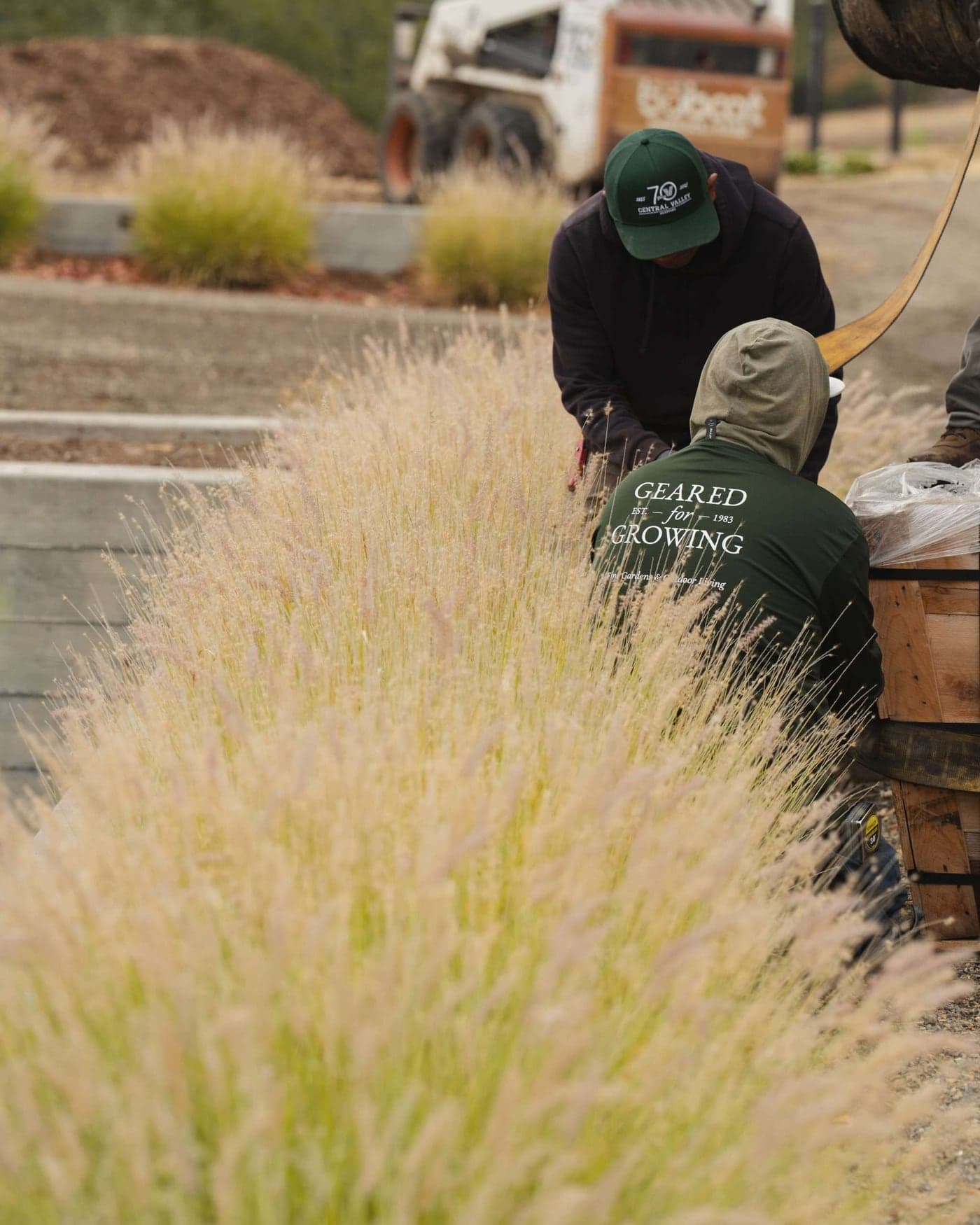 Geared for Growing crew members installing a landscape among flowering grasses