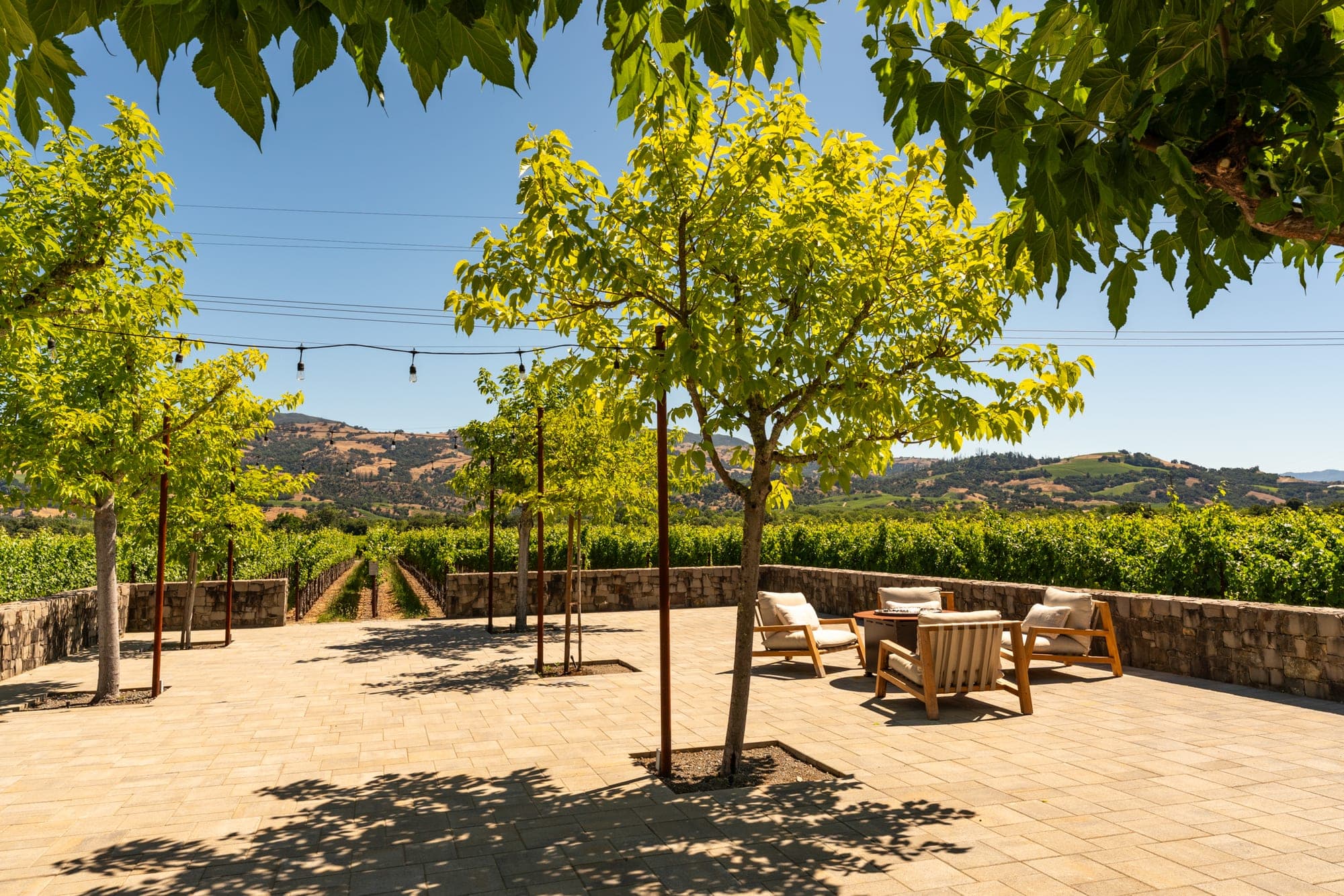 Tree-shaded courtyard overlooking the Geyserville landscape