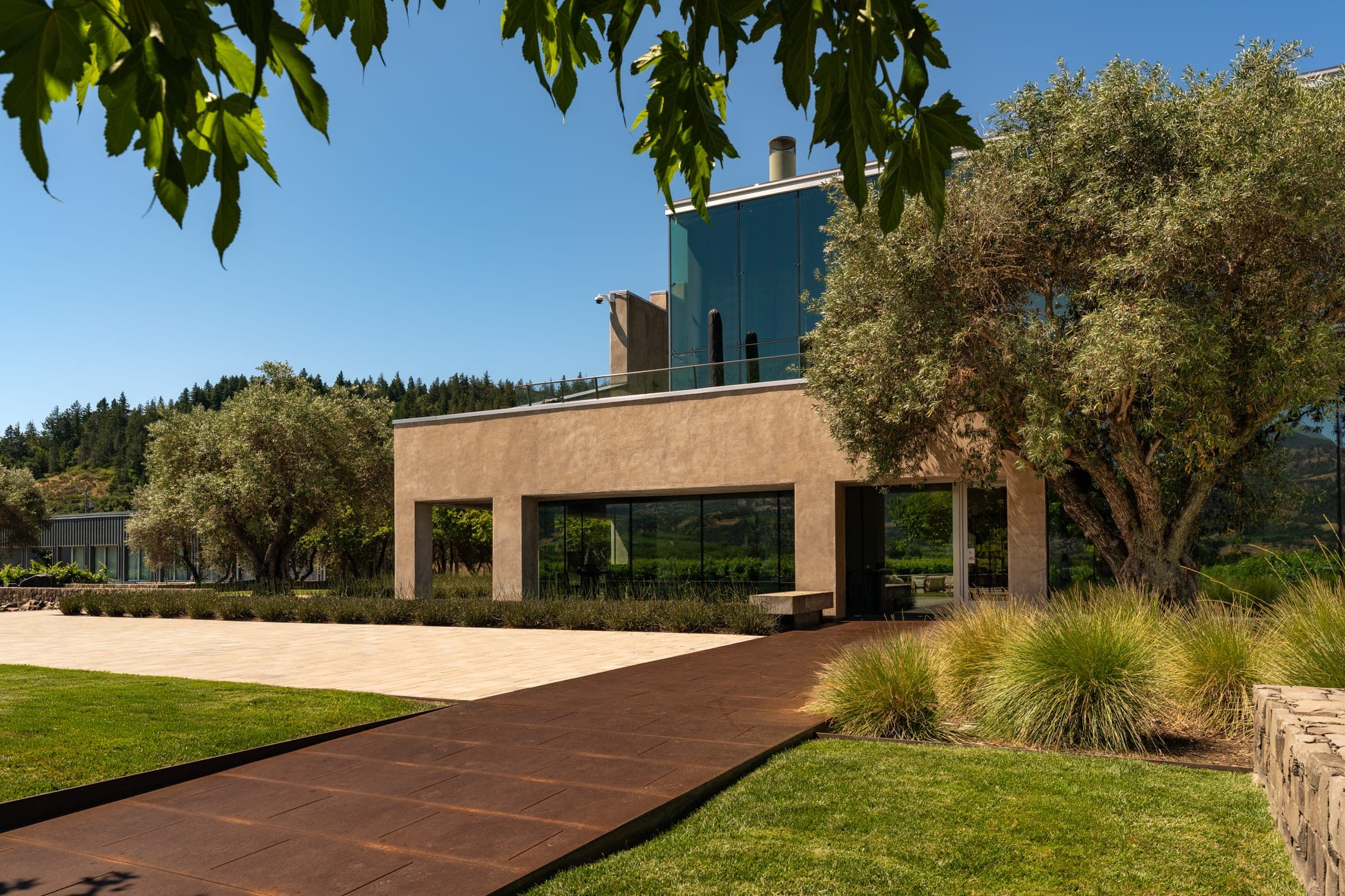Cyrus property and surrounding landscape in Geyserville