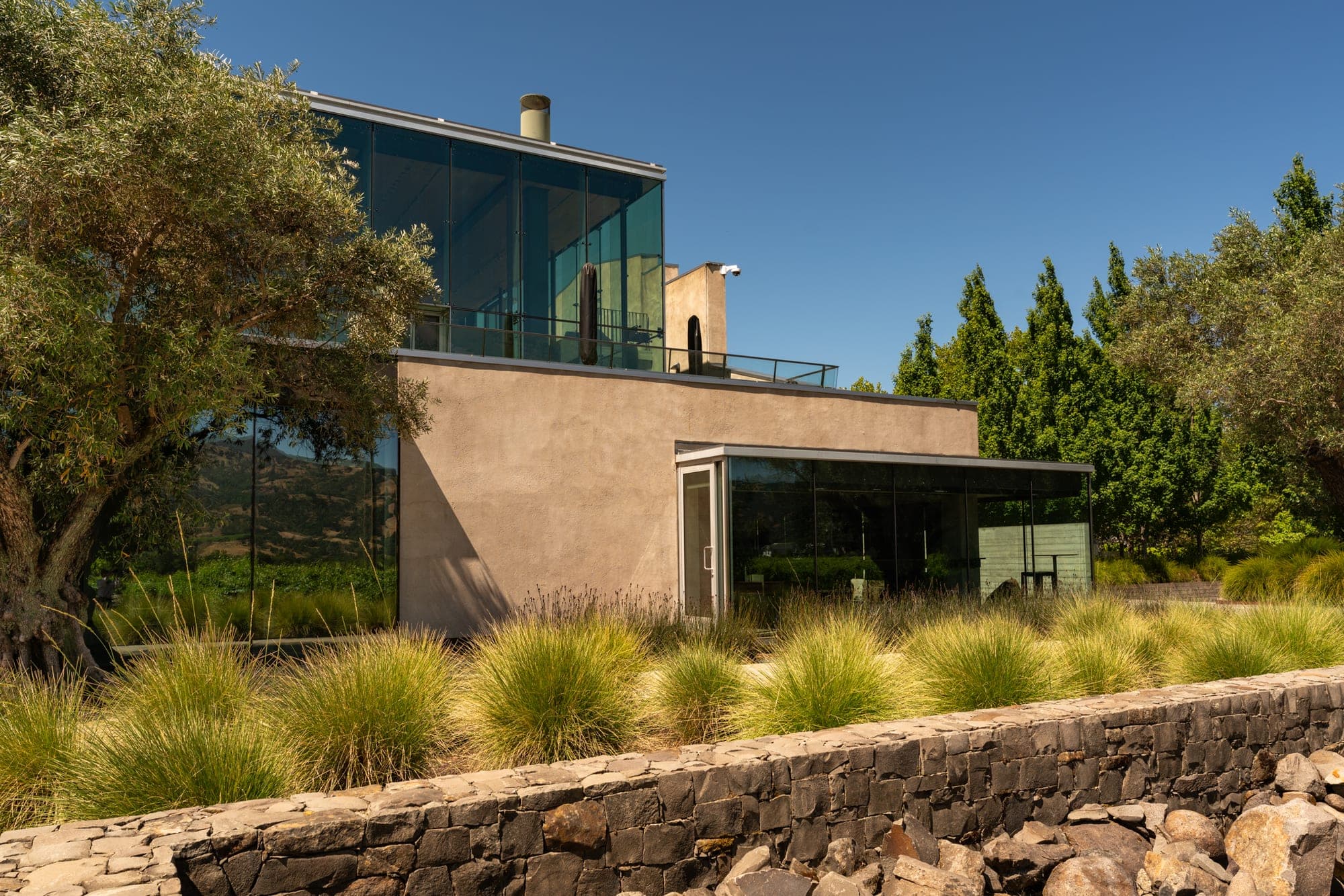Planted edge maintained by Geared for Growing at a Sonoma County commercial property