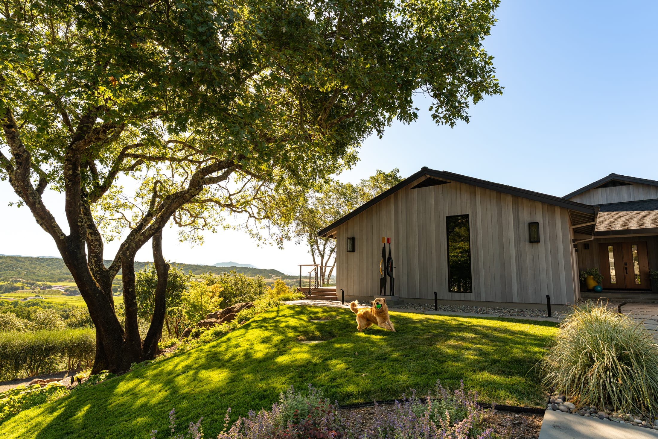 Healdsburg home surrounded by established garden planting