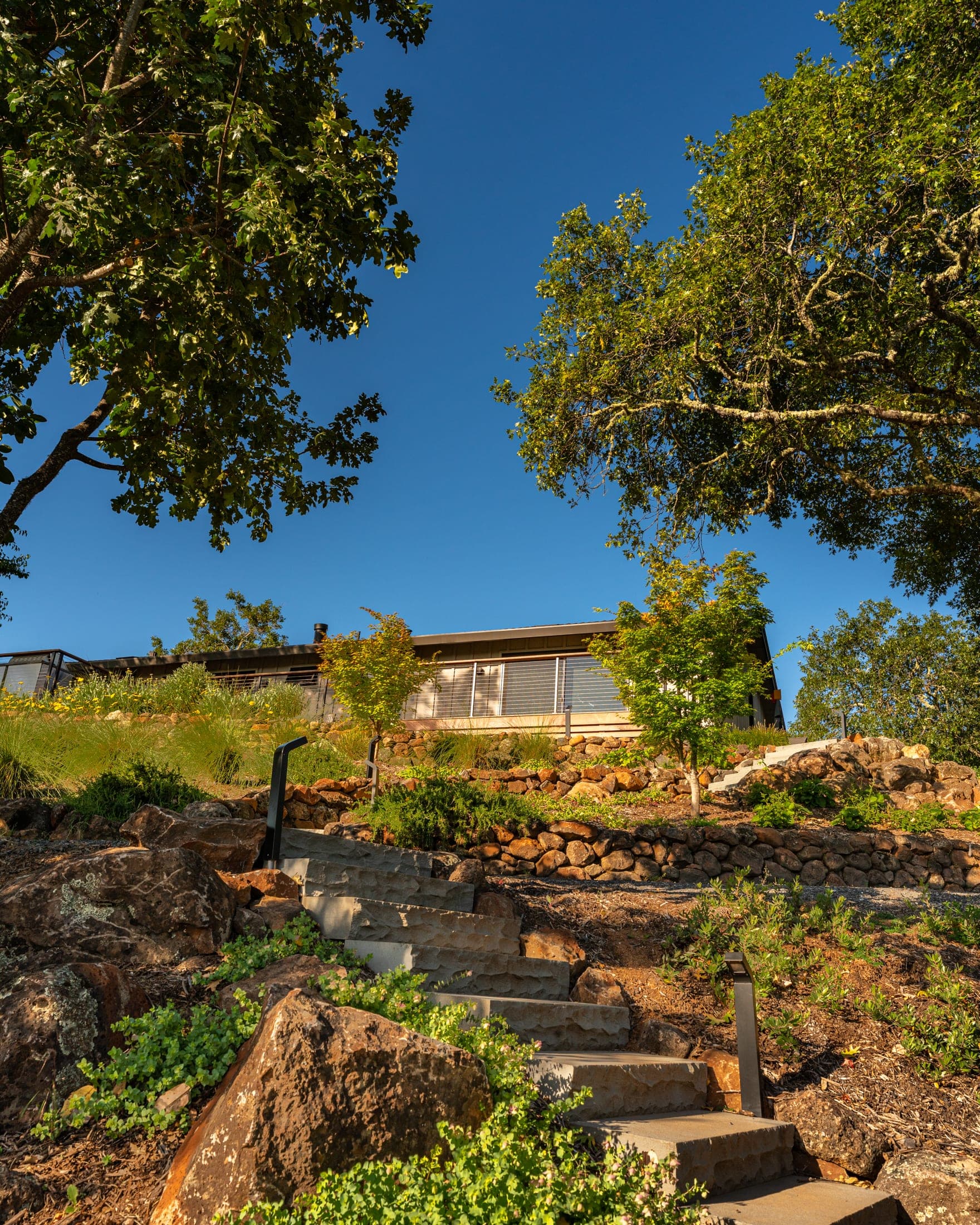 Home set within layered garden planting