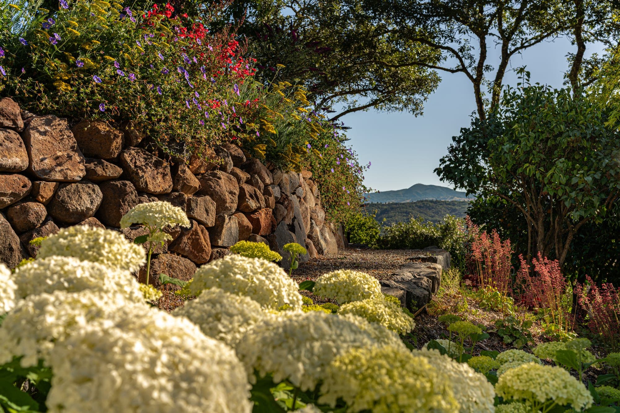 Stonework and flowering garden plants