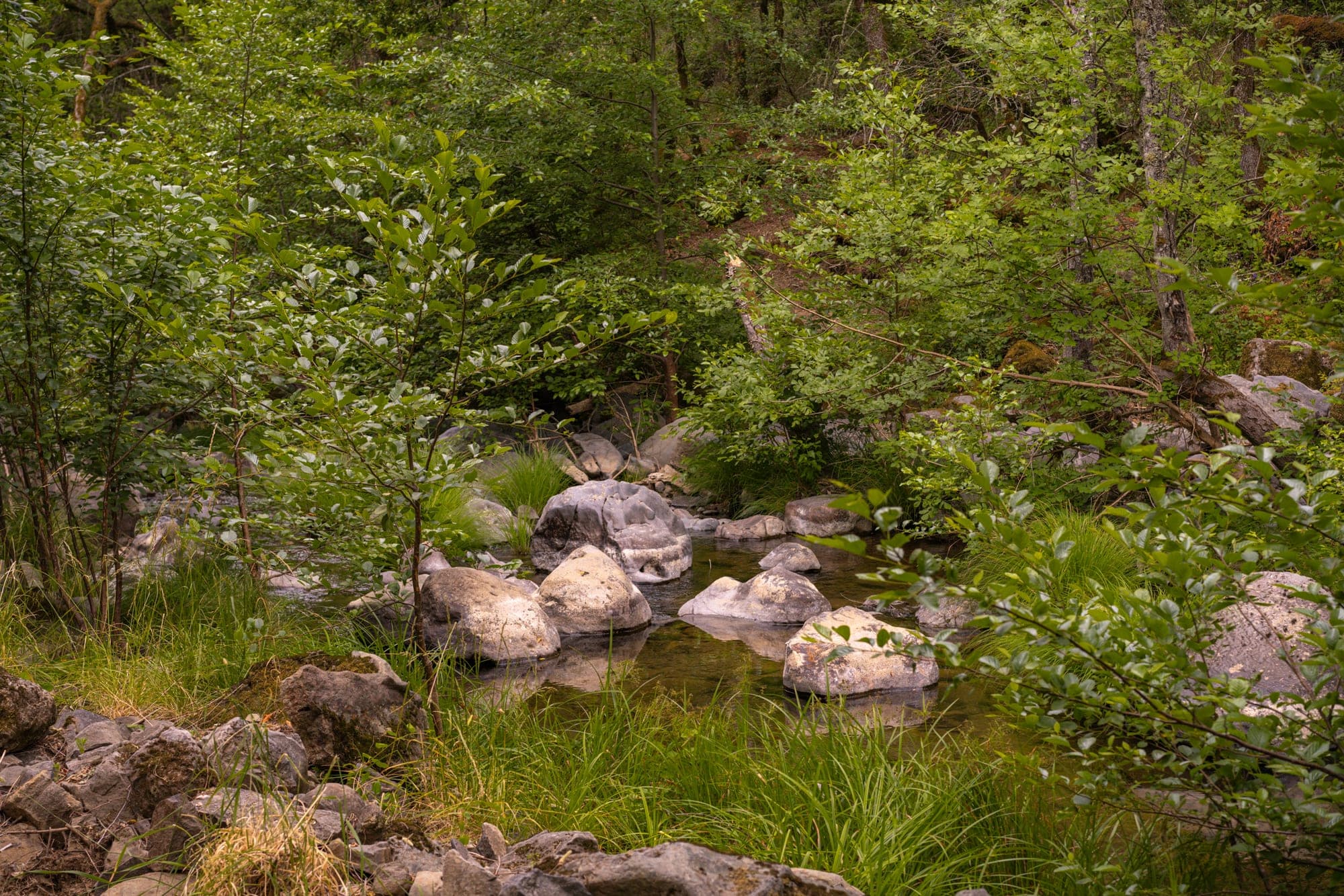 Rocky creek within the woodland property