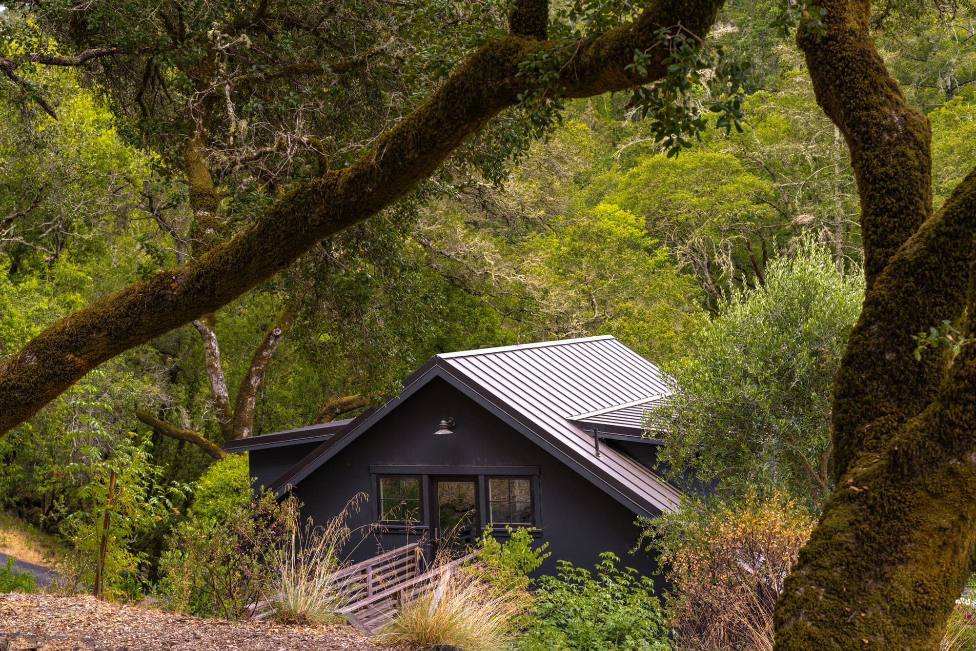 Healdsburg home and garden seen through the trees