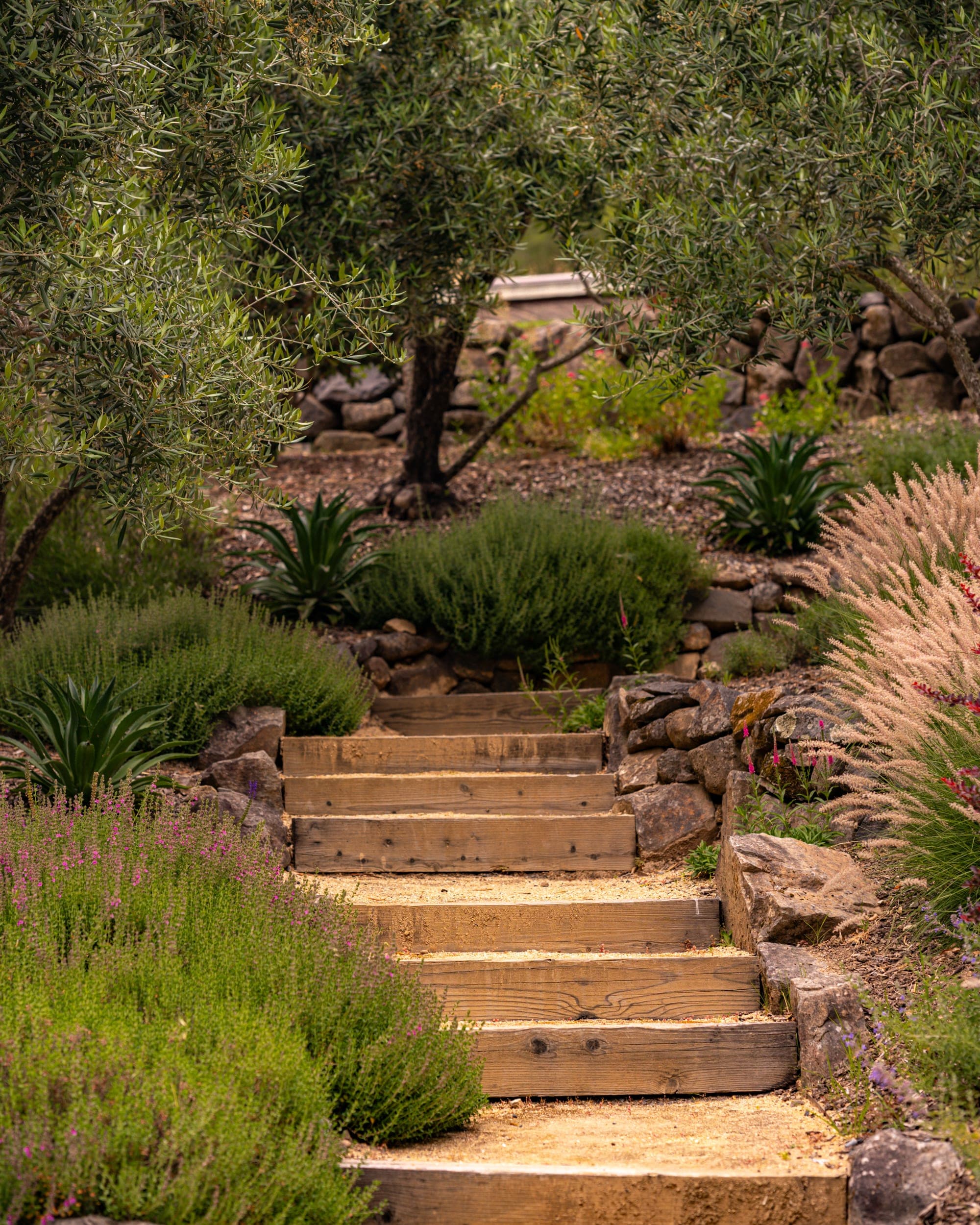 Planted terrace beside the Healdsburg home