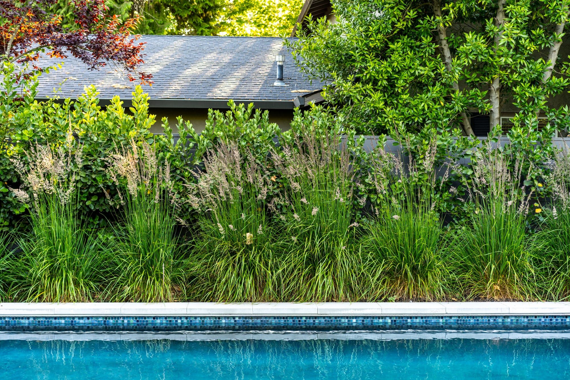 Pool bordered by layered ornamental planting