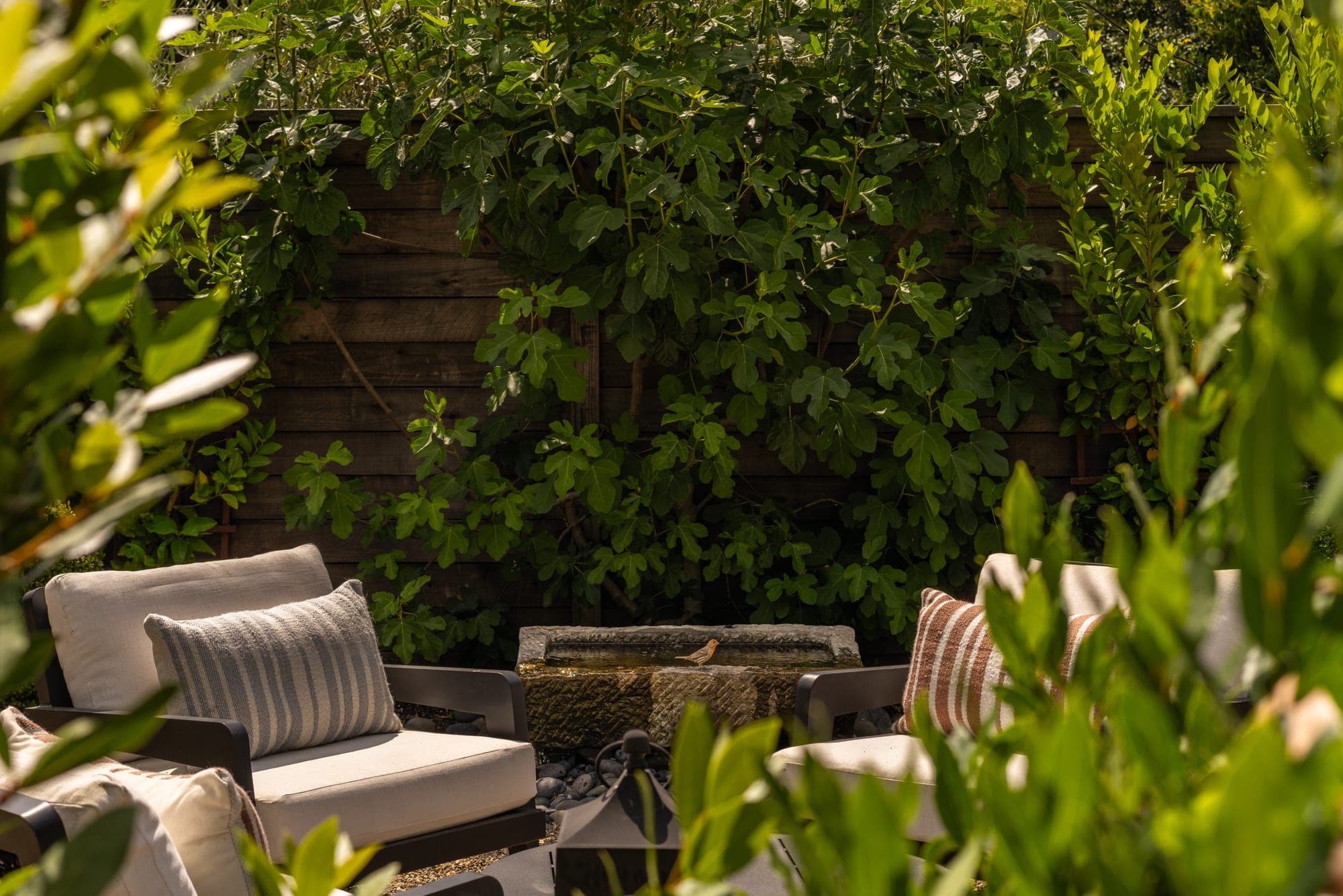 Seating area enclosed by green garden planting