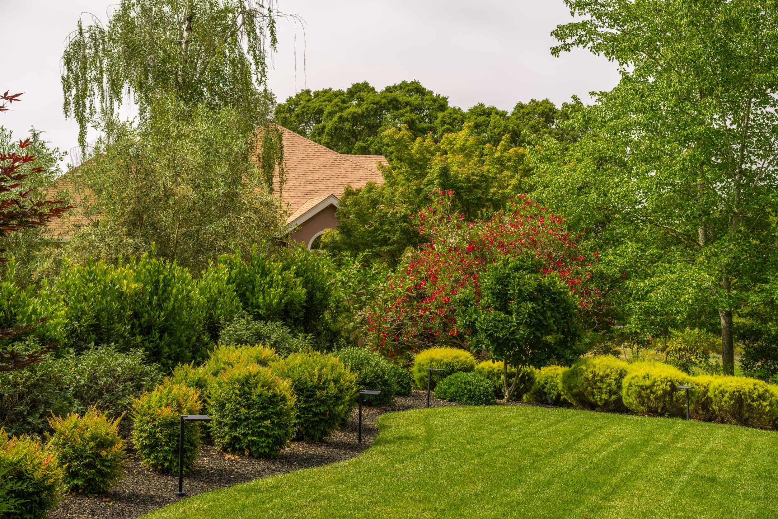 Established garden surrounding a home in Windsor