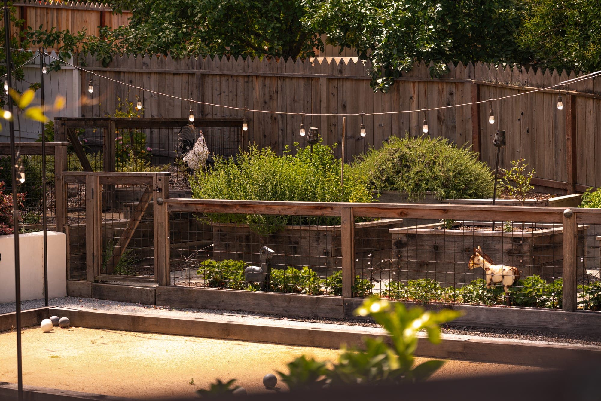 Productive garden beds at the Windsor property