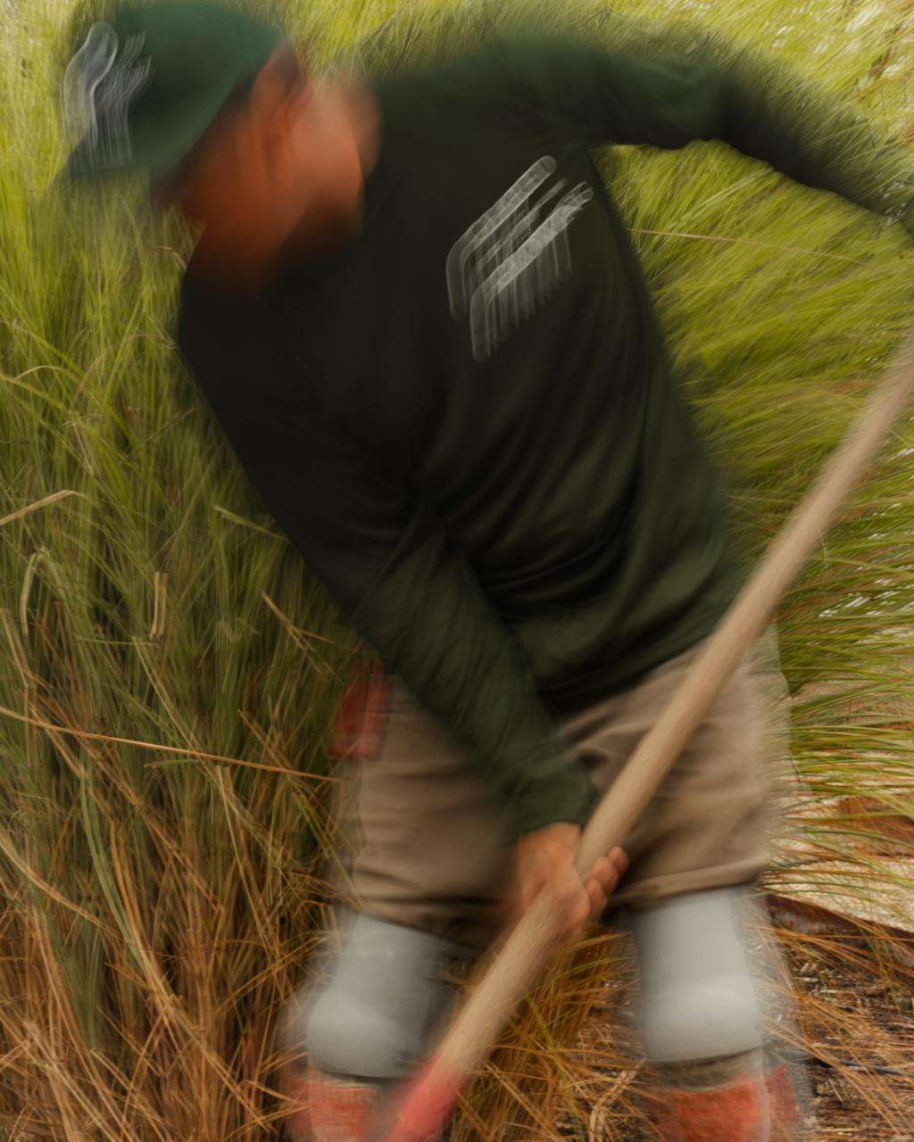 Geared for Growing garden-care crew tending ornamental grasses
