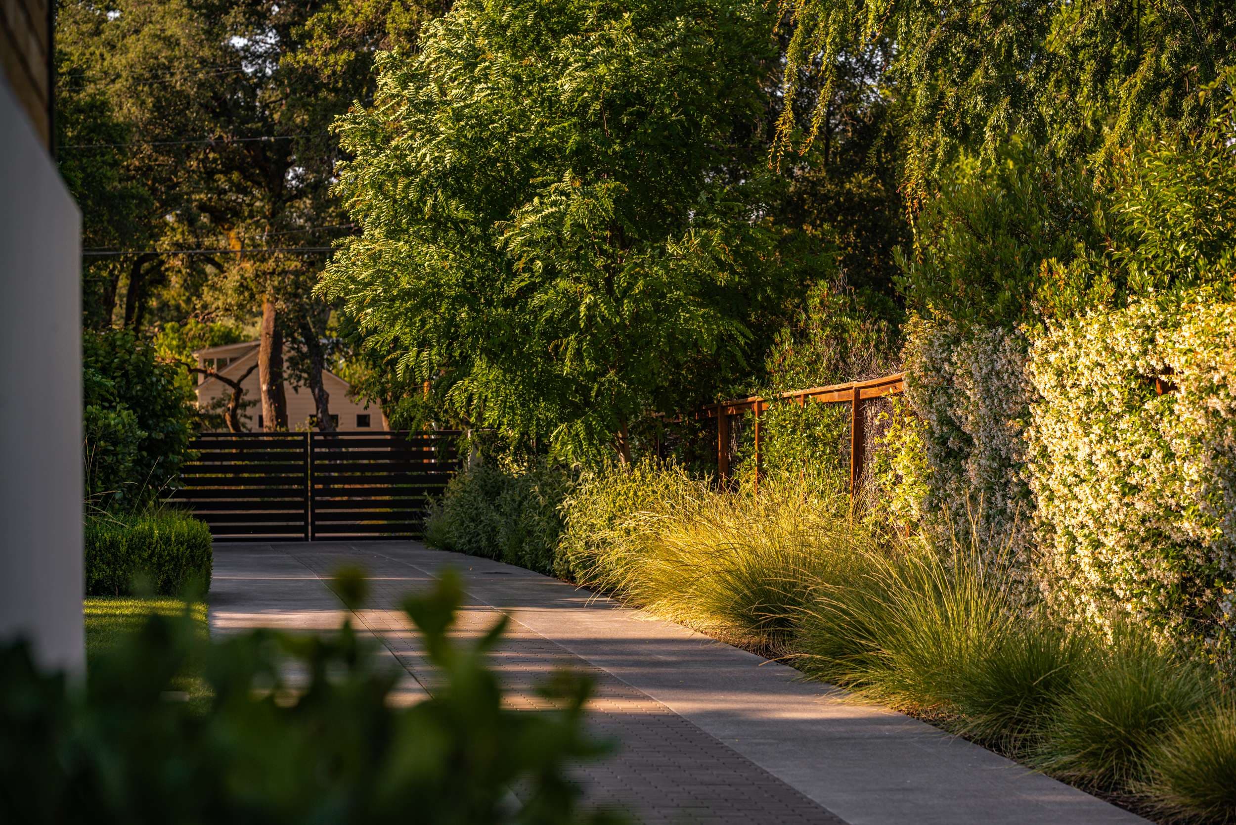 Lawn removal and landscape renovation project