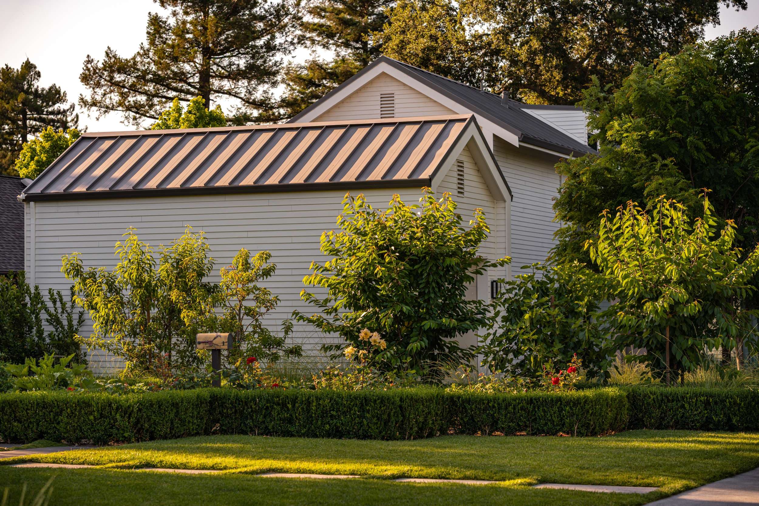 Layered low-water garden planting in Sonoma County