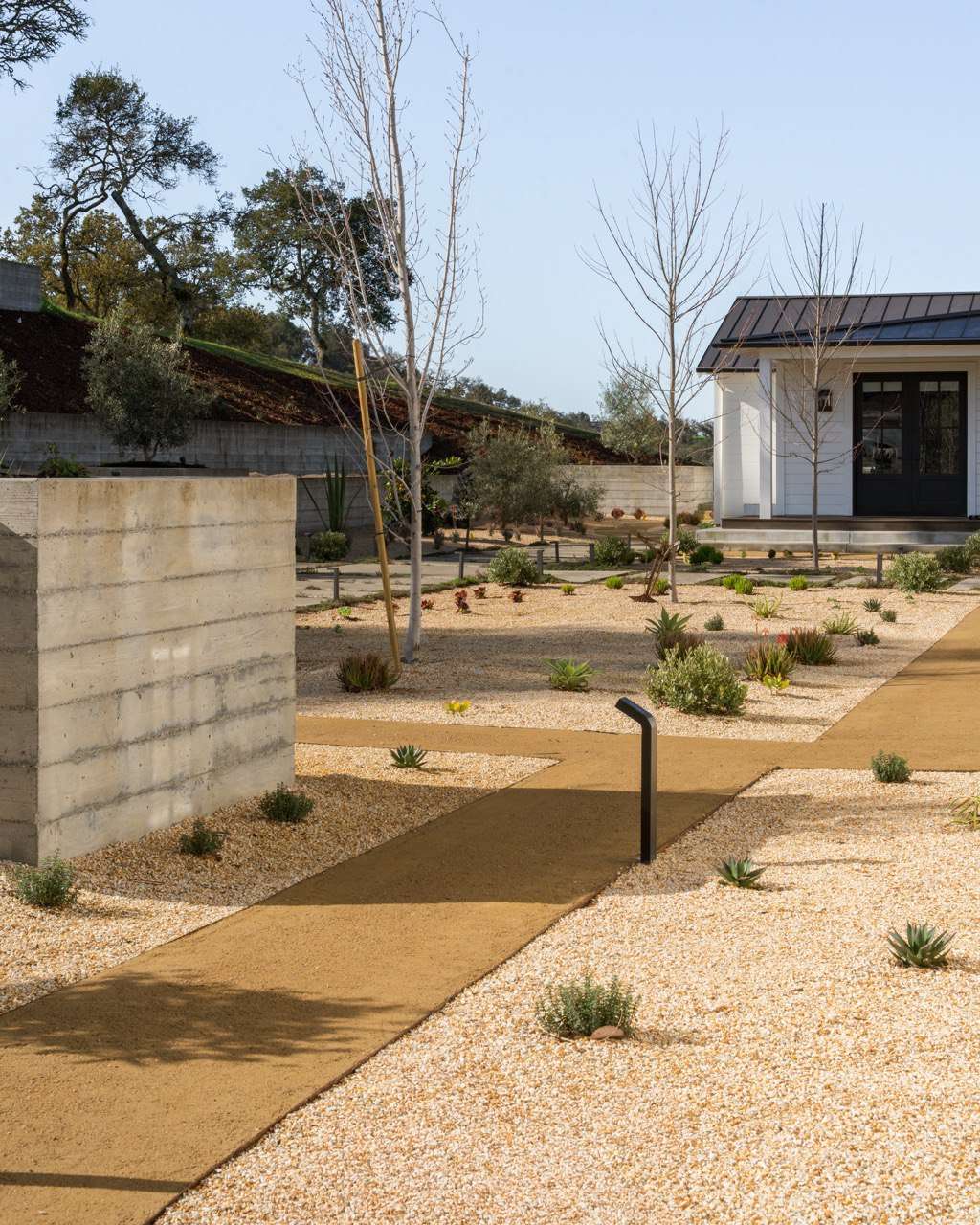 Decomposed Granite vs. Granitecrete: Which Is Right for Your Sonoma County Landscape? in Sonoma County