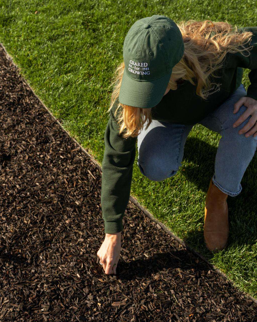 Applying mulch around established plants in a Sonoma County garden